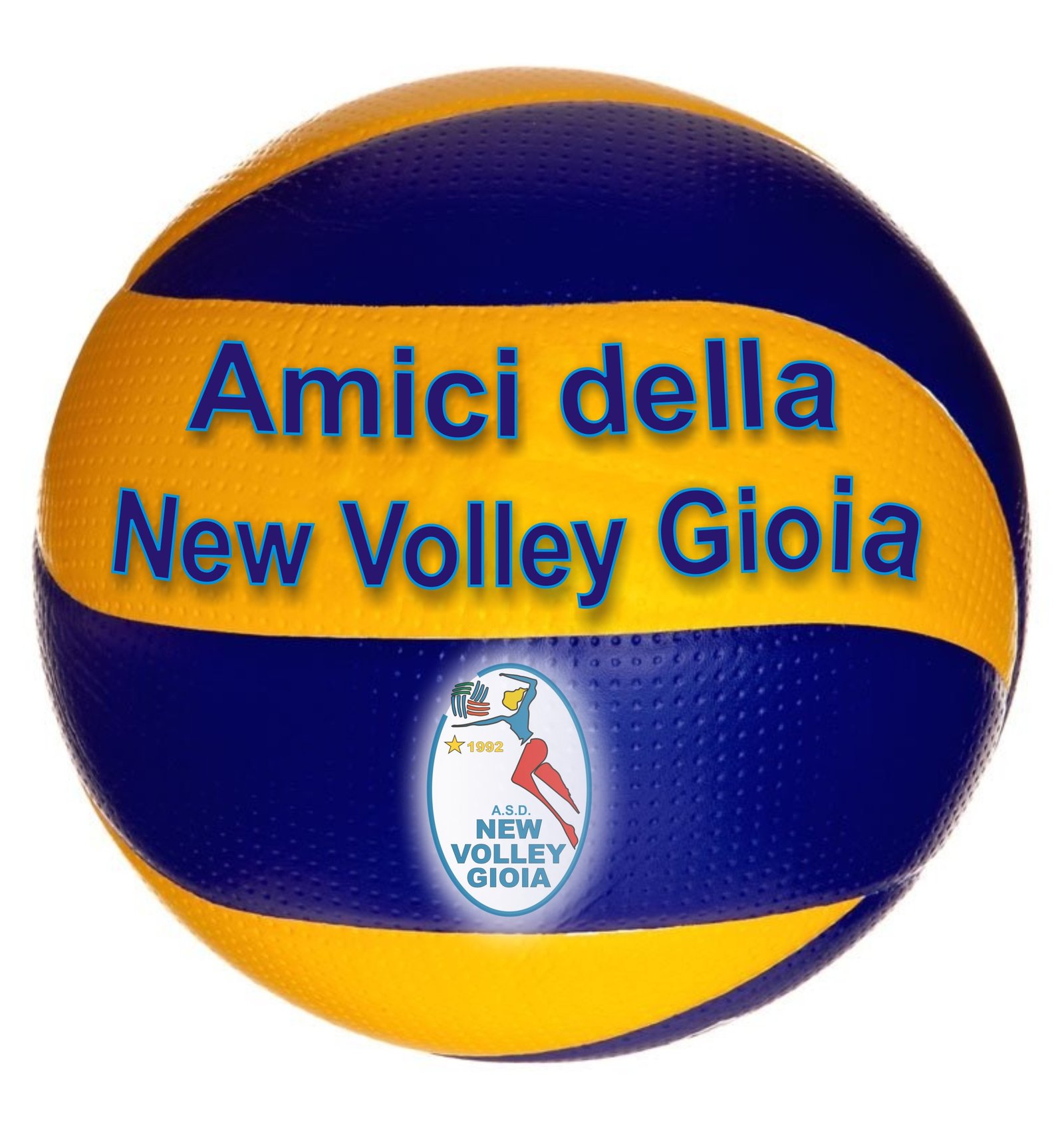 amici della newvolleygioia