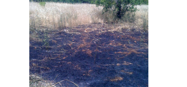 incendio-sterpaglia