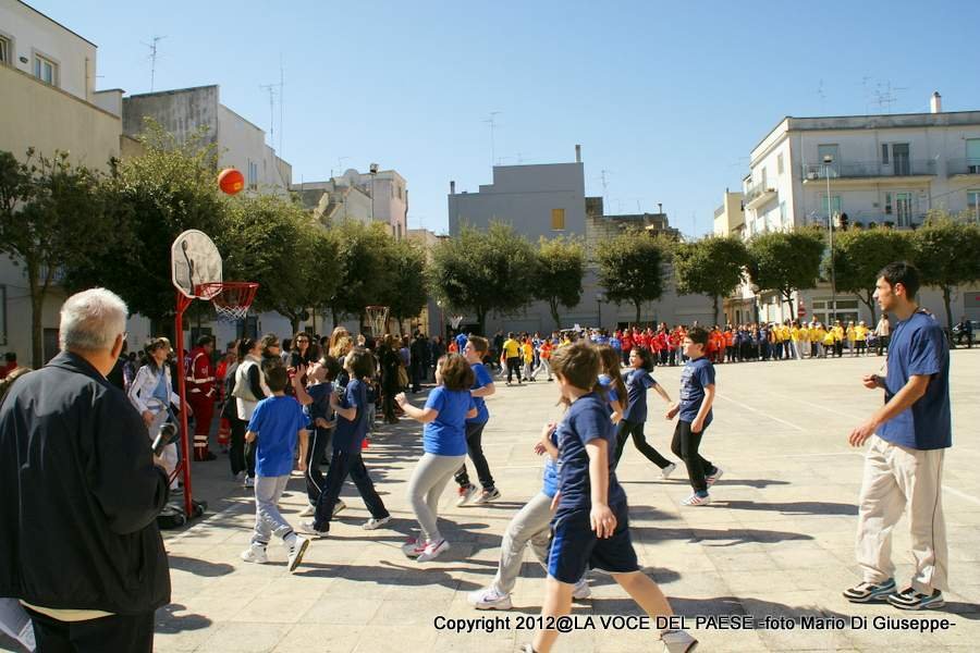 mini basket gare