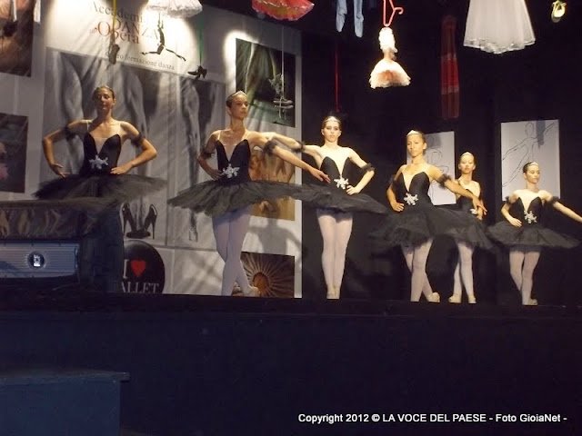 saggio sasanelli3