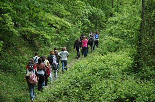 escursione-nel-bosco