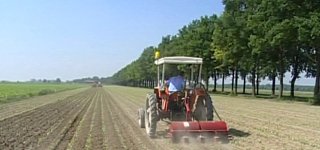 campagna-lavoro-agricoltura