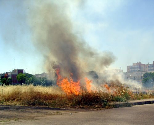 incendio sterpaglia3