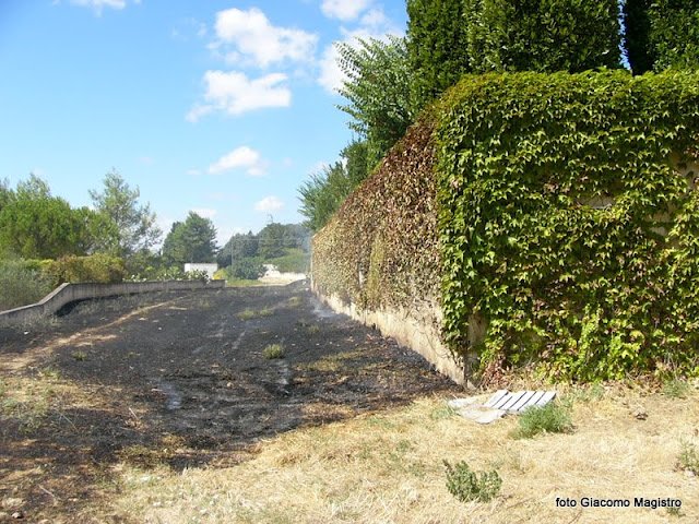 incendio villa colombo6