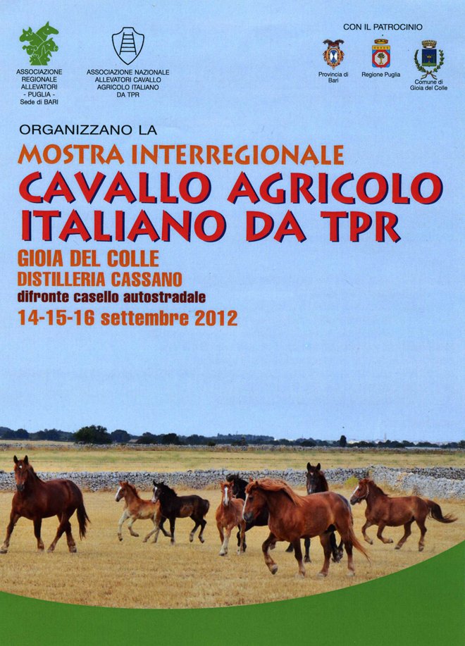 cavallo-agricolo1