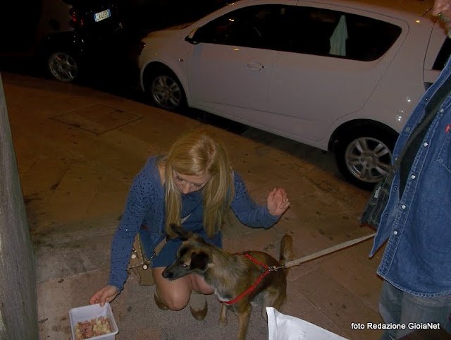 inmagia cane cibo
