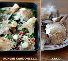 funghi cardoncelli