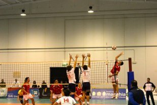 team volley joya2012 11 10 5