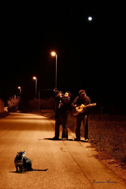 730243020 de05a5b682 z