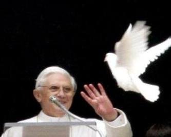 BXVI e colomba
