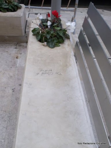 ciclamini via garibaldi