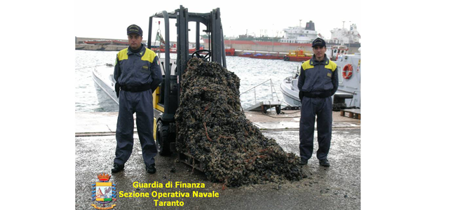 sequestro-cozze-alla-diossina