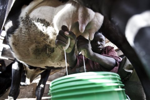 stefanopesarelli-Njombe-19