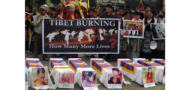 tibet immolation-PP