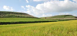 agricoltura-bando-aiuti-pp