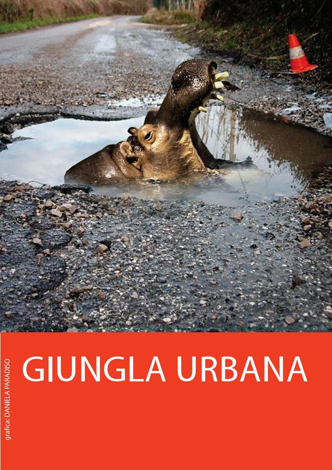 guarda-gi-DANIELA-jungla-urbana
