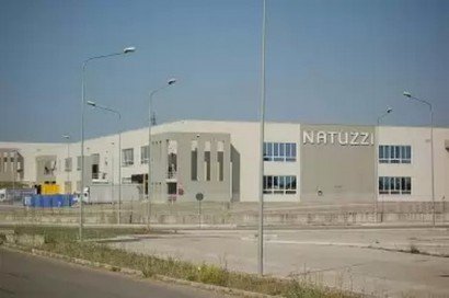 natuzzi-ginosa-410x272