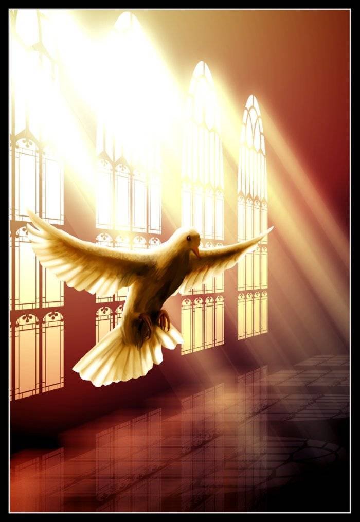 buona pasqua4