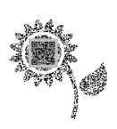 fiore