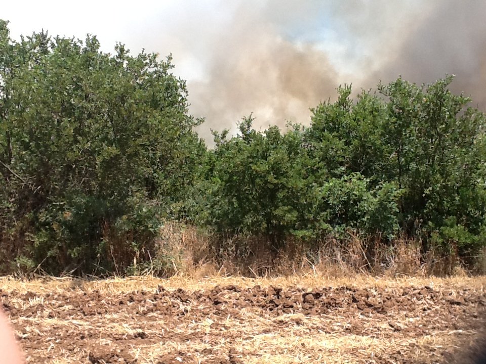 incendio grottaluparafoto2