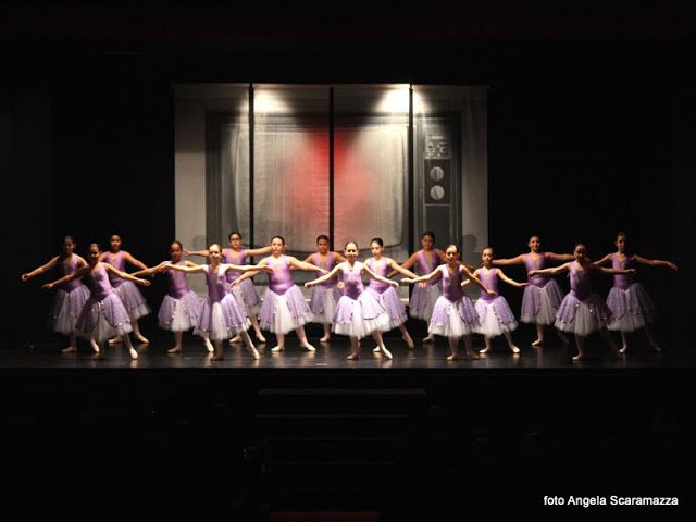 sasanelli saggio saggio