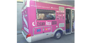 gioia-in-rosa